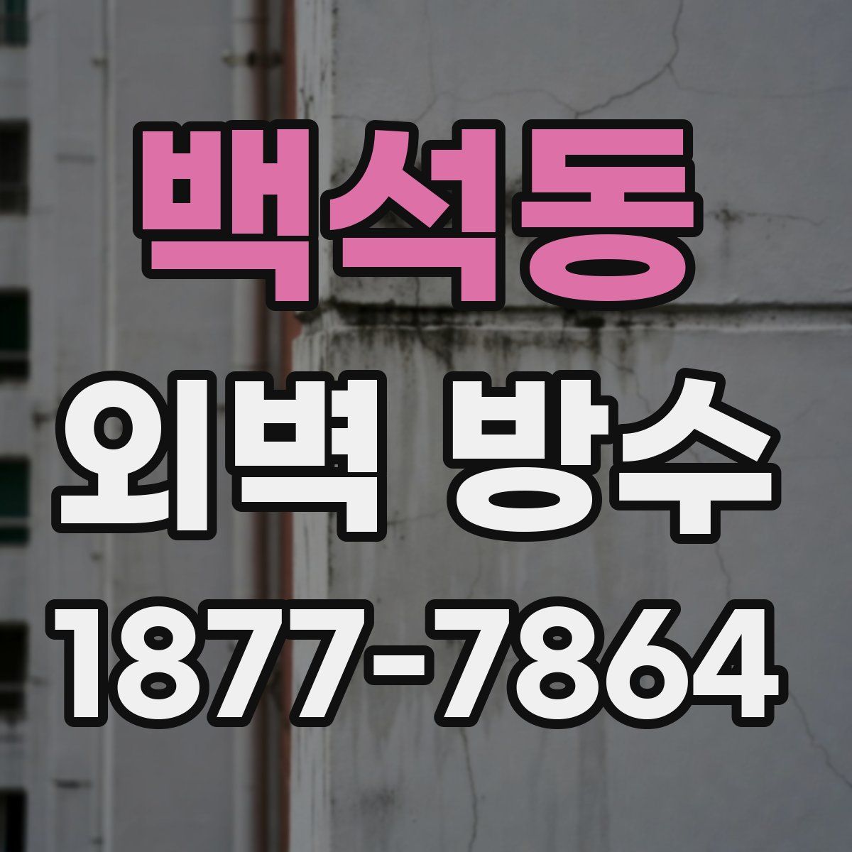 백석동 외벽 방수