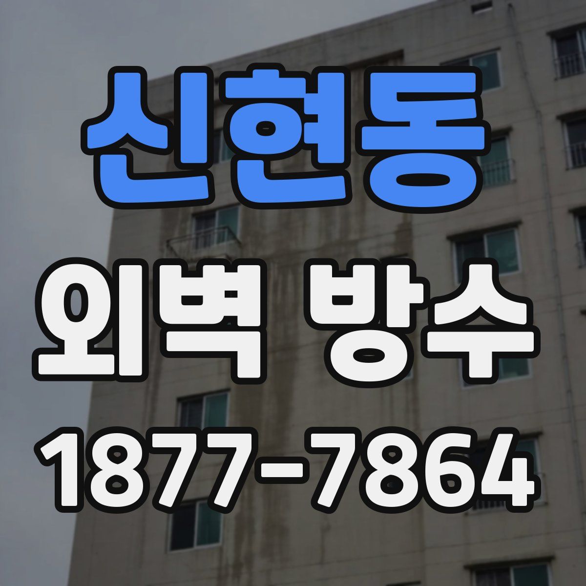 신현동 외벽 방수