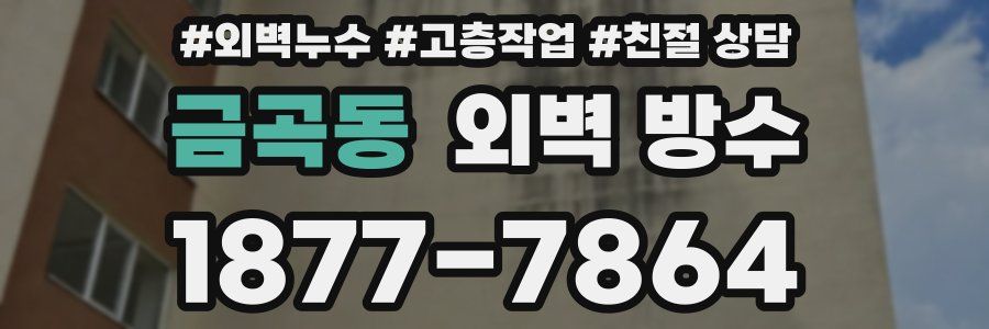 금곡동 외벽 방수