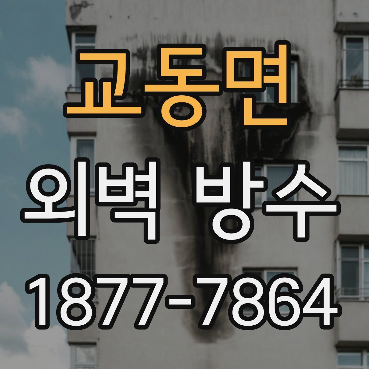 교동면 외벽 방수