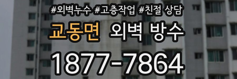 교동면 외벽 방수