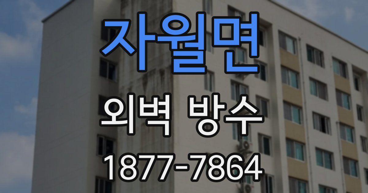 자월면 외벽 방수