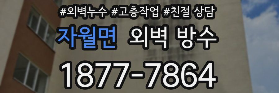 자월면 외벽 방수