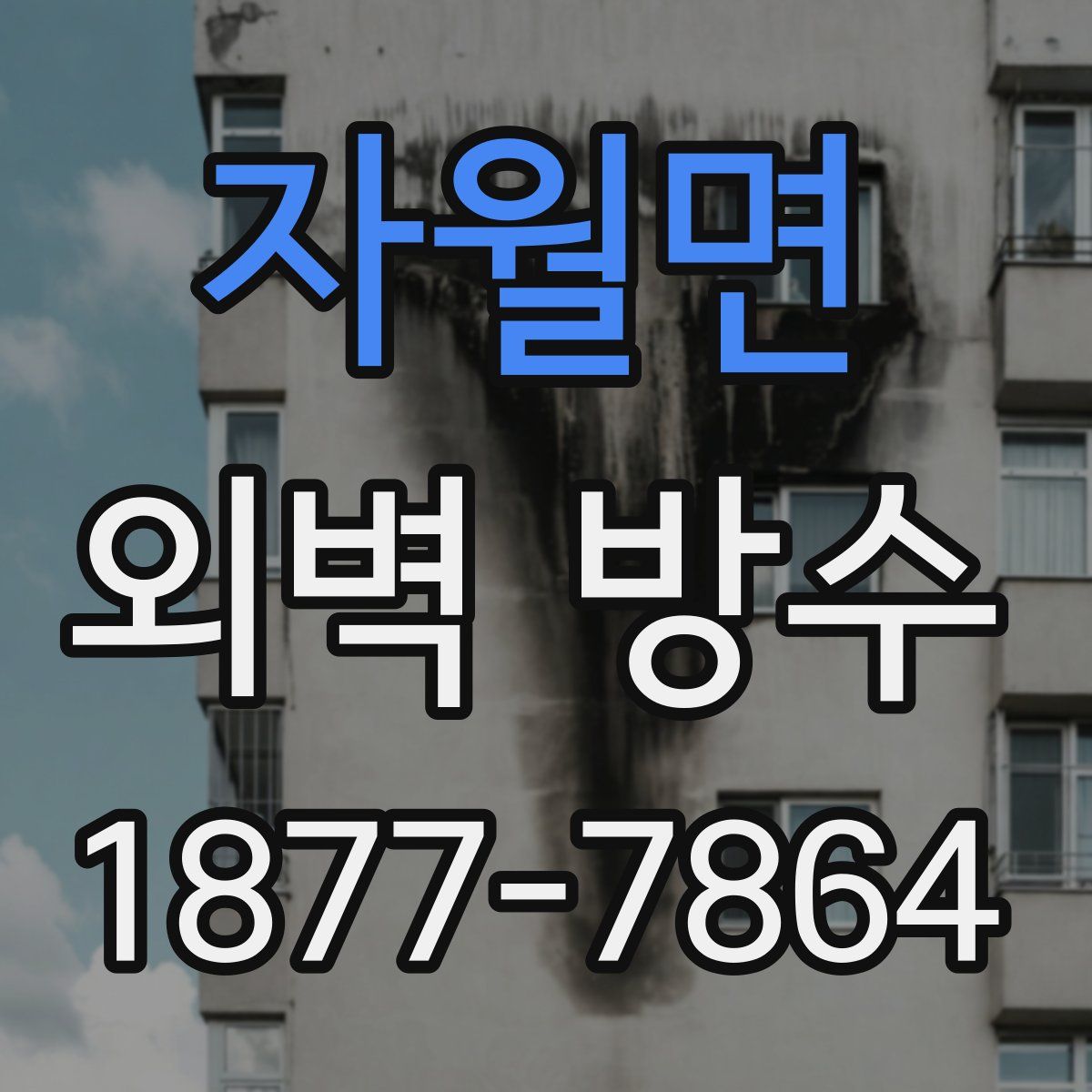 자월면 외벽 방수