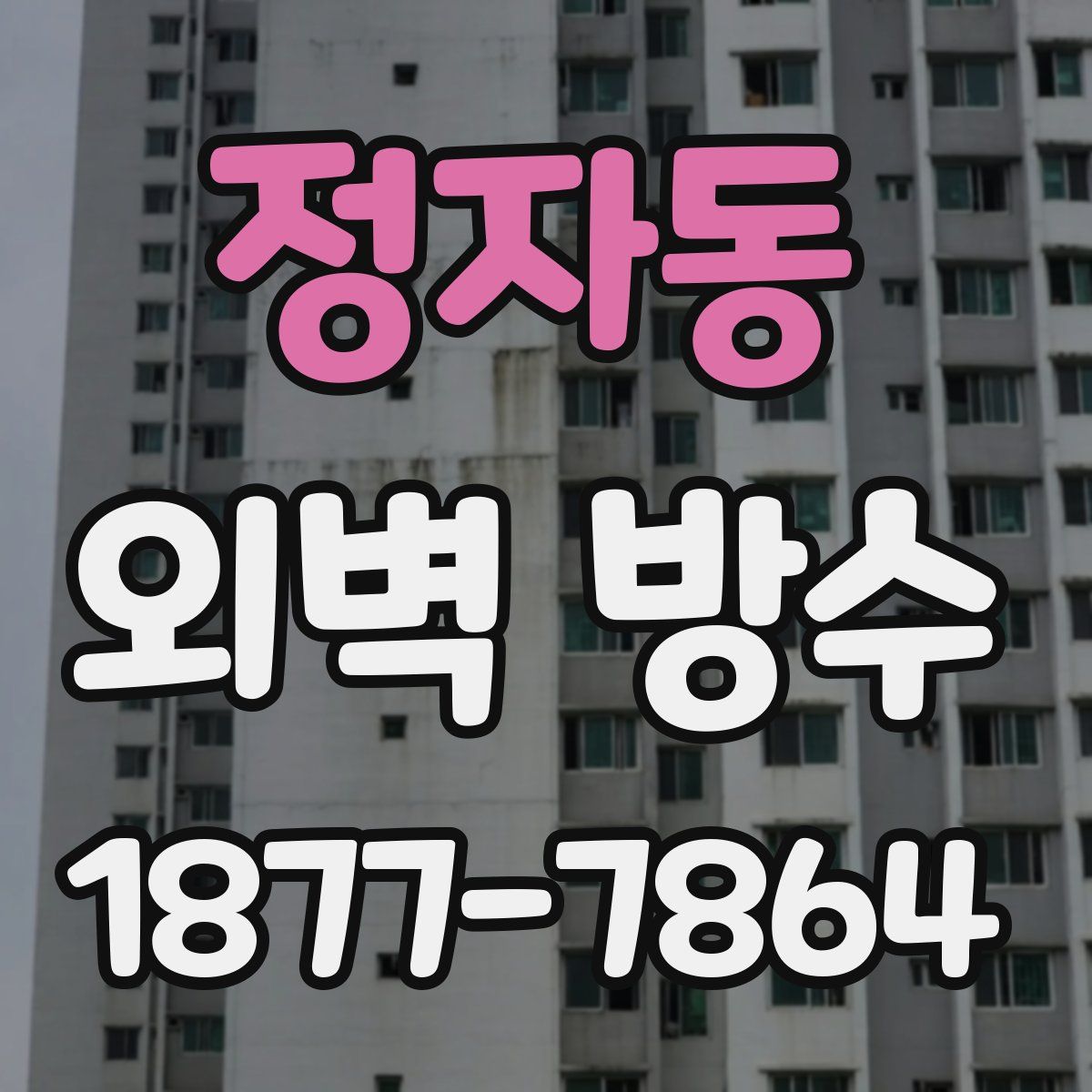 정자동 외벽 방수