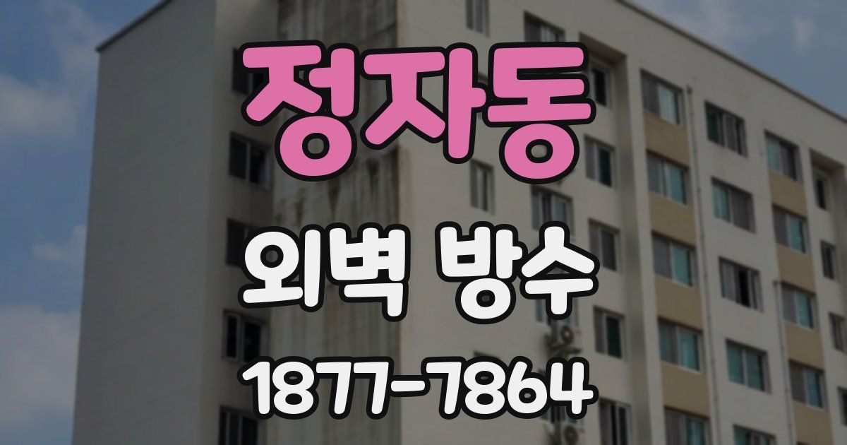 정자동 외벽 방수