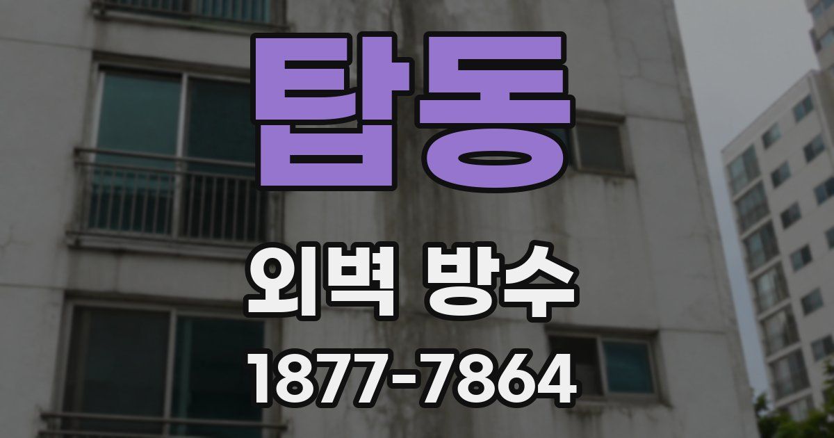 탑동 외벽 방수