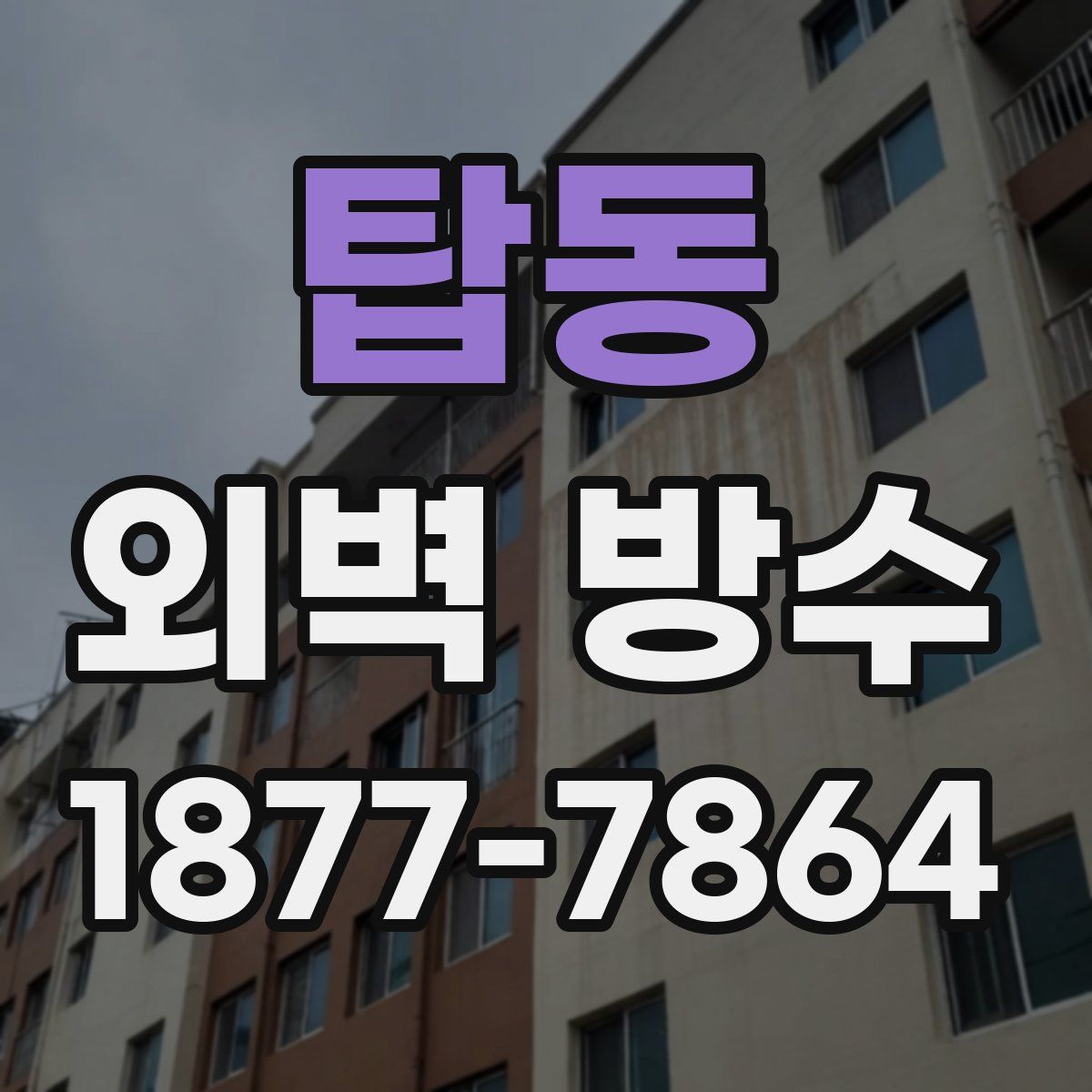 탑동 외벽 방수