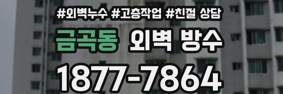 금곡동 외벽 방수