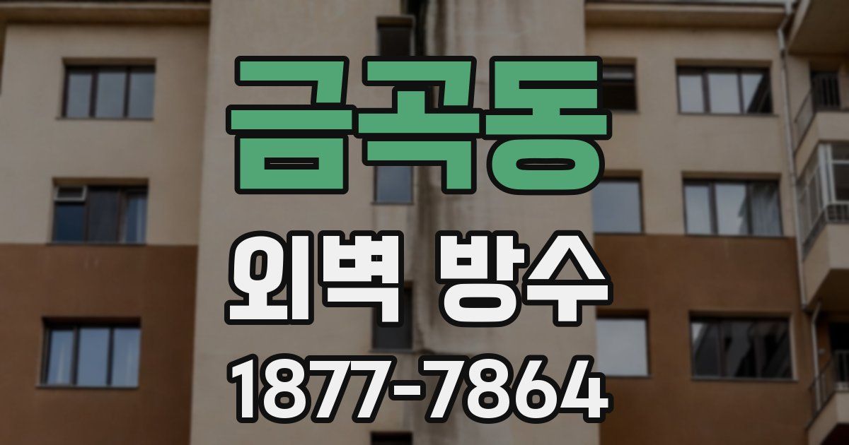 금곡동 외벽 방수