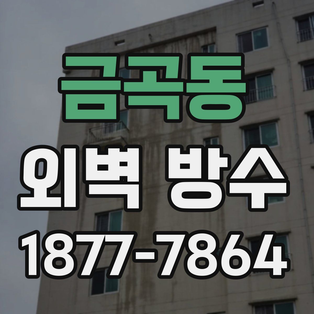 금곡동 외벽 방수