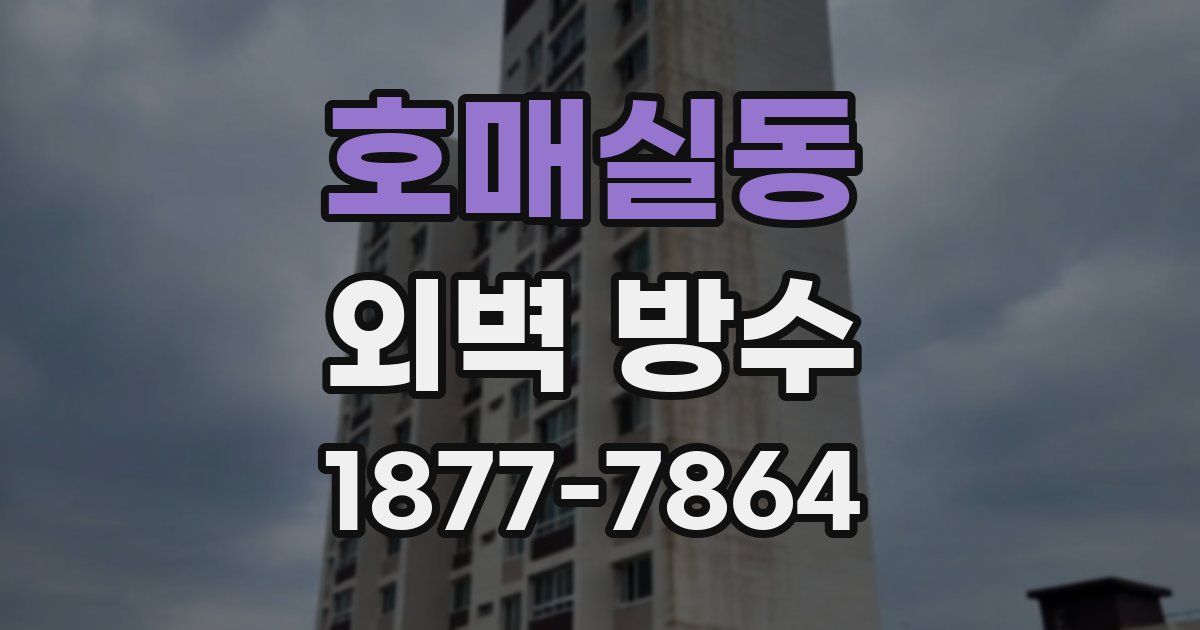 호매실동 외벽 방수