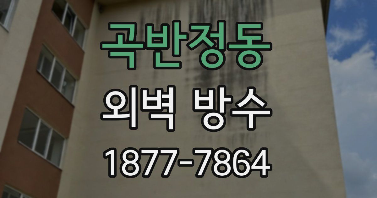 곡반정동 외벽 방수