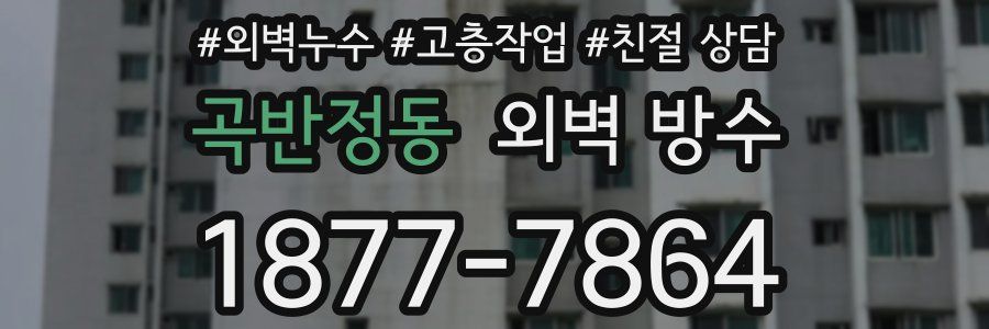 곡반정동 외벽 방수