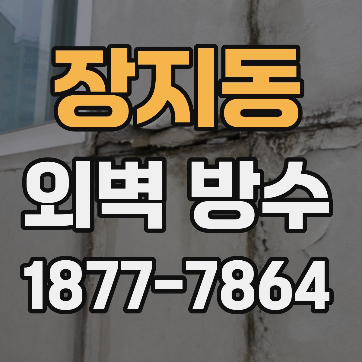 장지동 외벽 방수