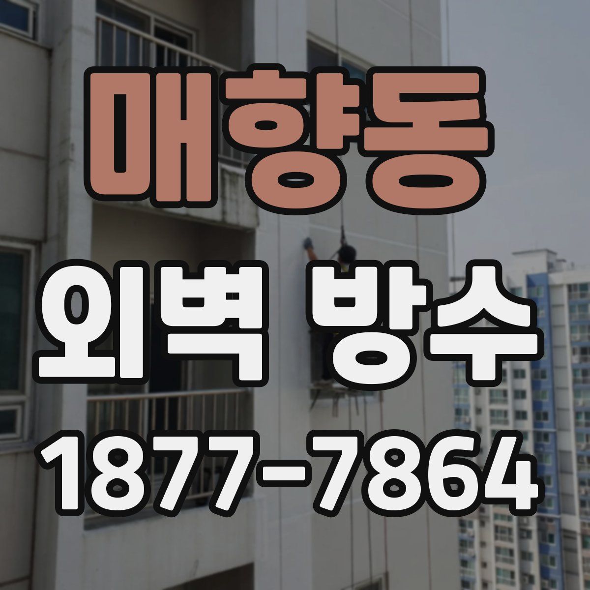 매향동 외벽 방수