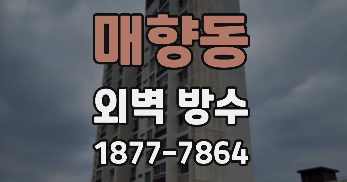 매향동 외벽 방수