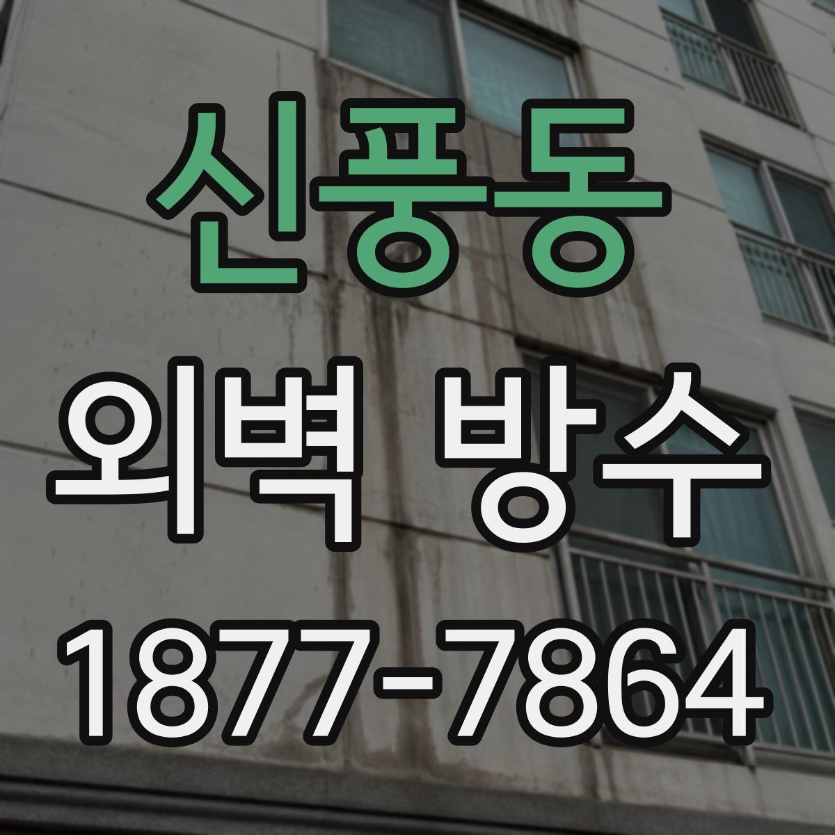 신풍동 외벽 방수