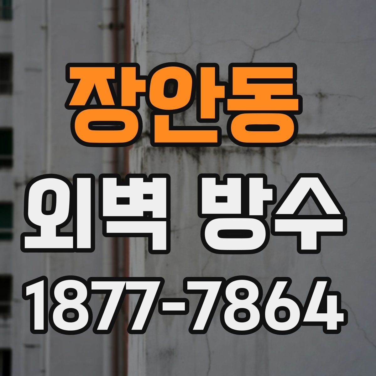 장안동 외벽 방수 공사 후 청소와 마감 정리까지