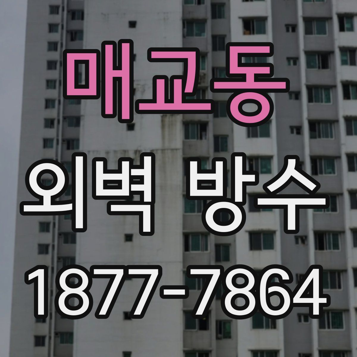 매교동 외벽 방수