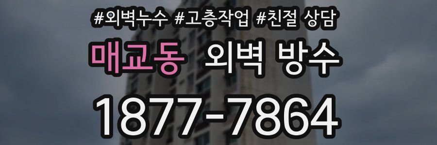 매교동 외벽 방수