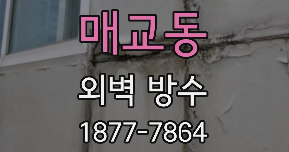 매교동 외벽 방수