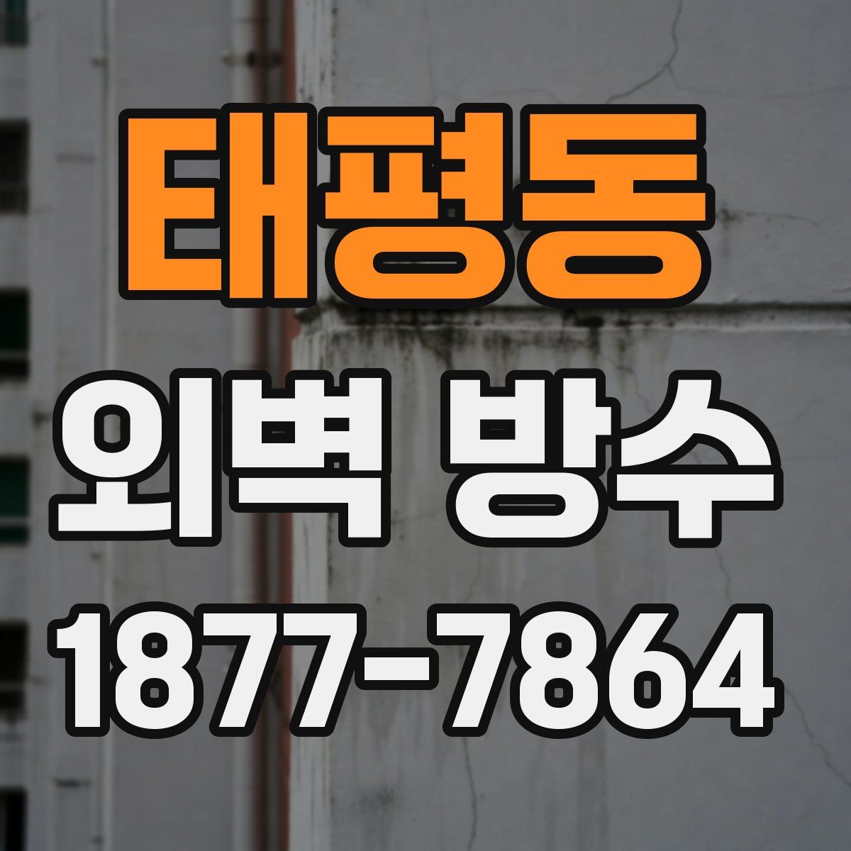 태평동 외벽 방수