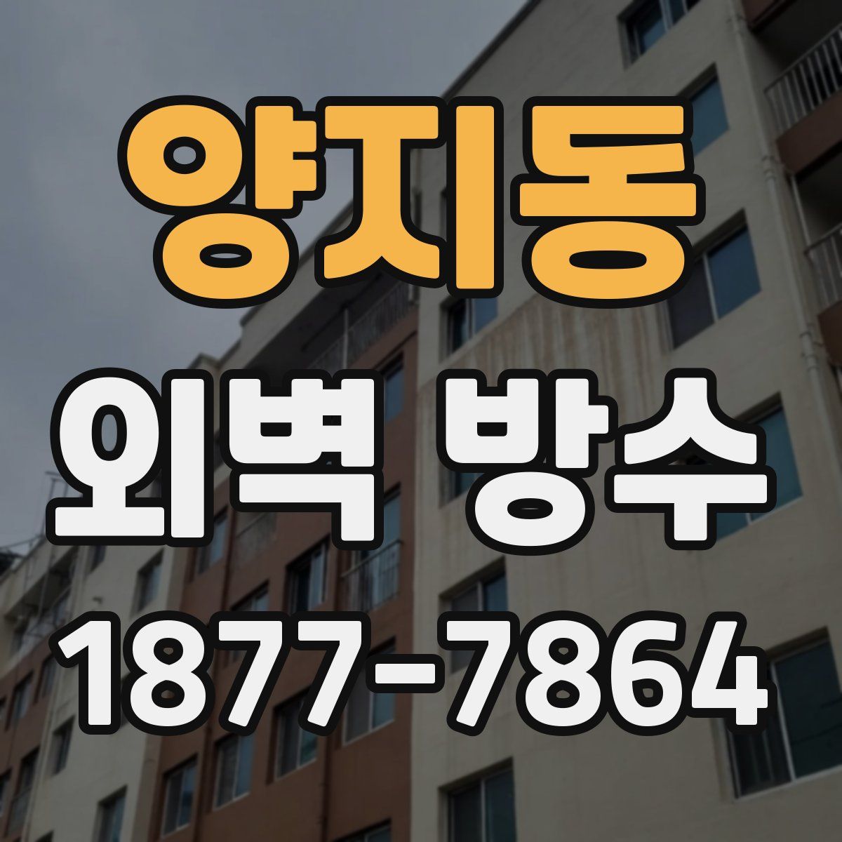 양지동 외벽 방수