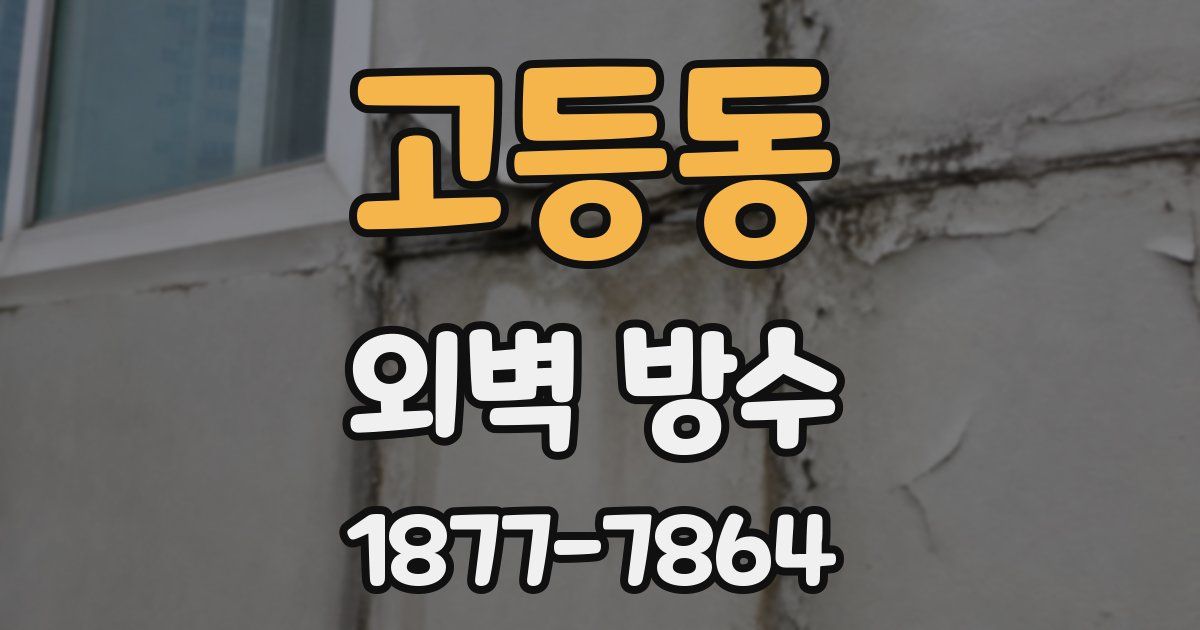 고등동 외벽 방수