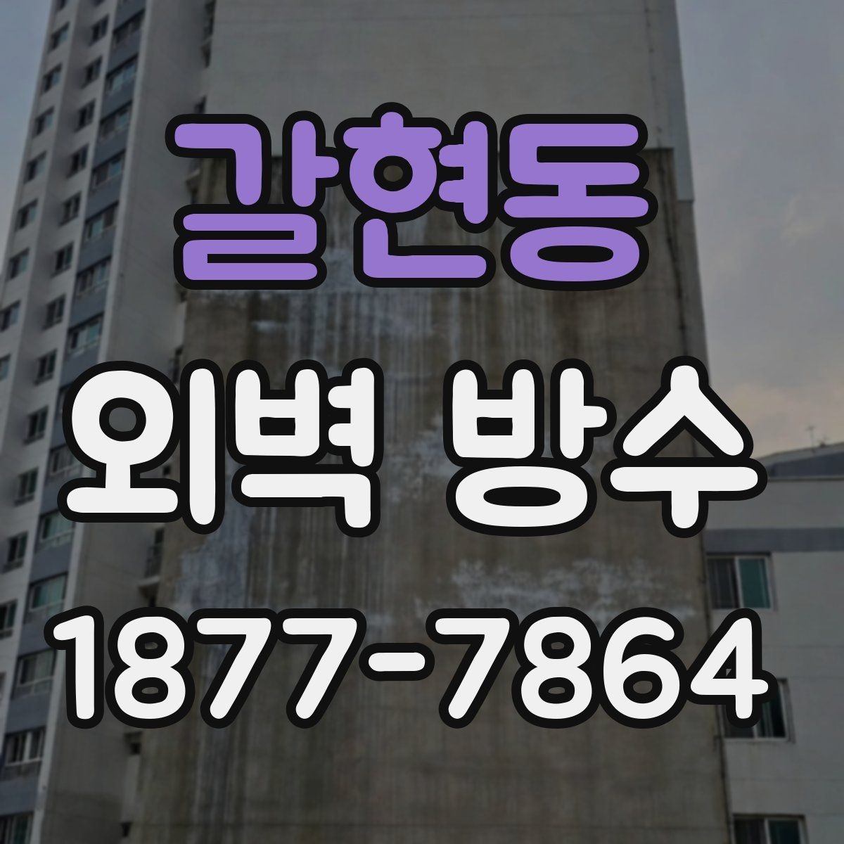 갈현동 외벽 방수 업체 상담 전 준비하면 좋은 정보