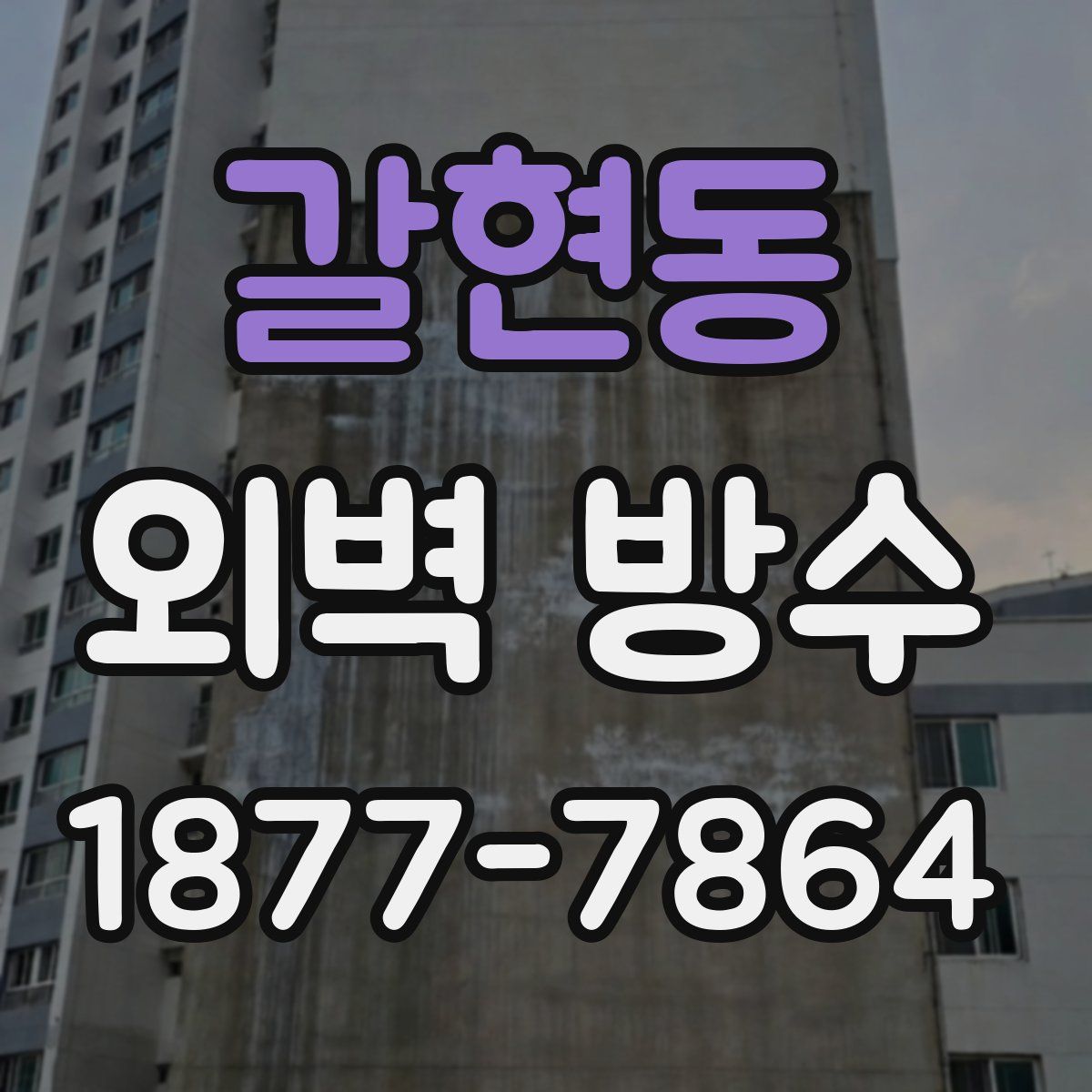 갈현동 외벽 방수