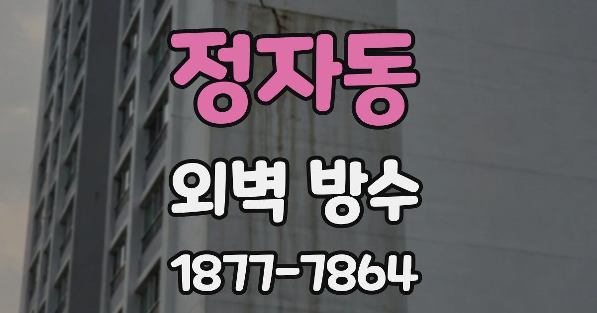 정자동 외벽 방수
