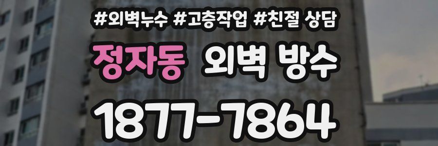 정자동 외벽 방수