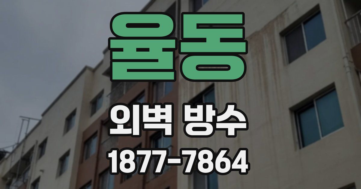 율동 외벽 방수