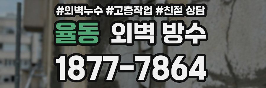 율동 외벽 방수