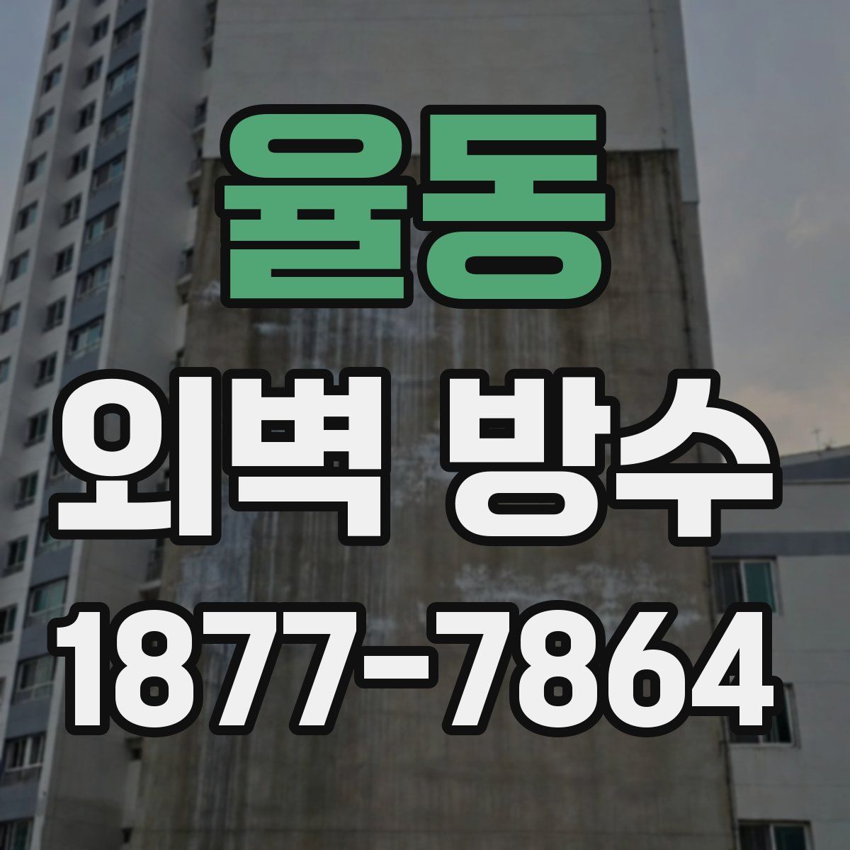 율동 외벽 방수