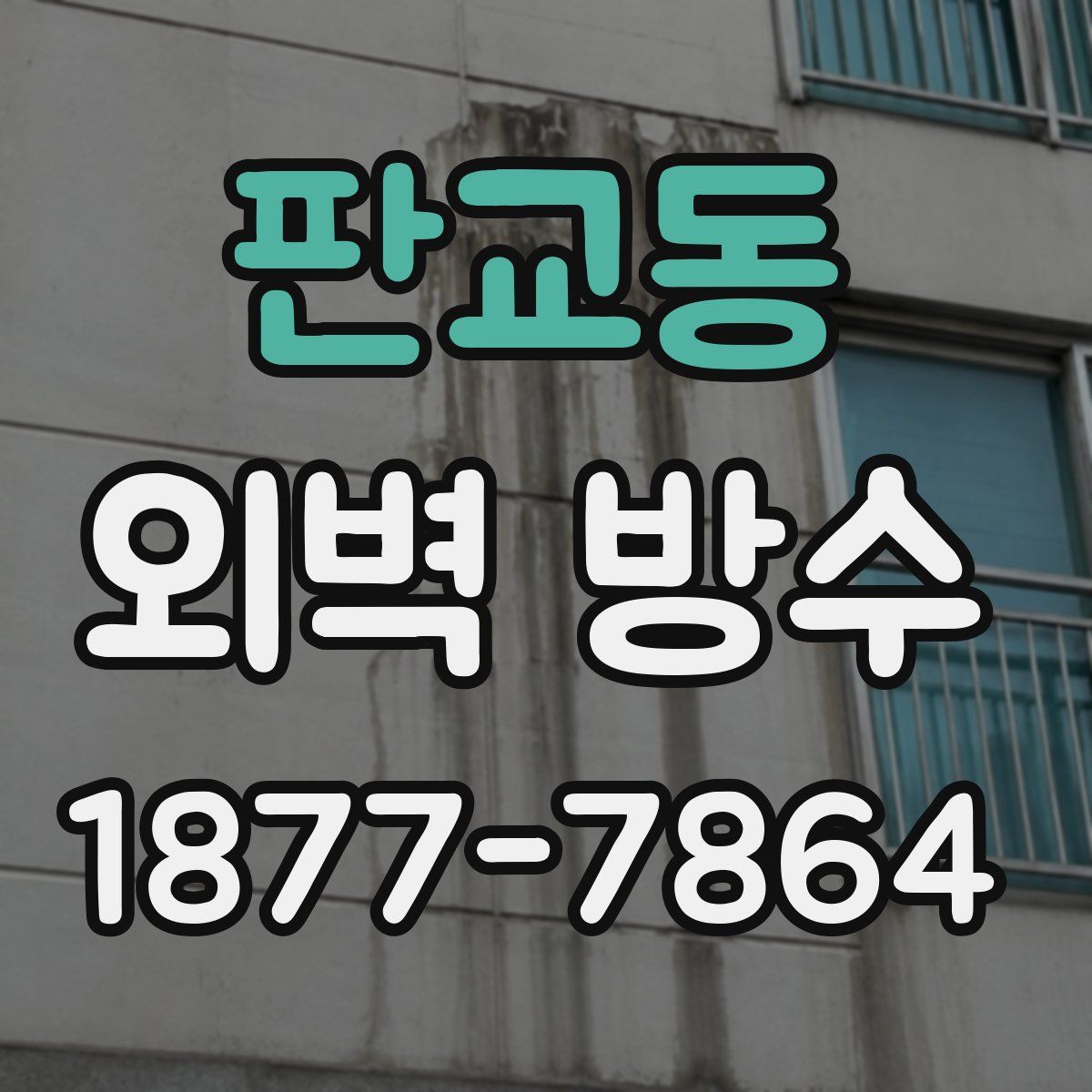 판교동 외벽 방수