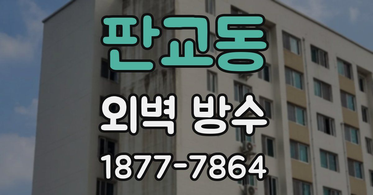 판교동 외벽 방수