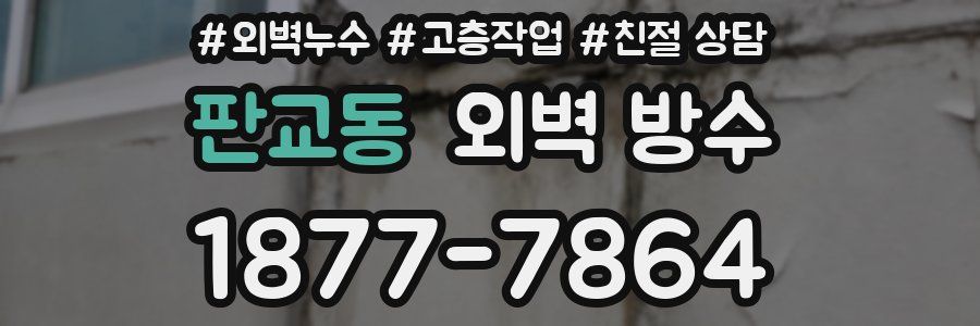 판교동 외벽 방수