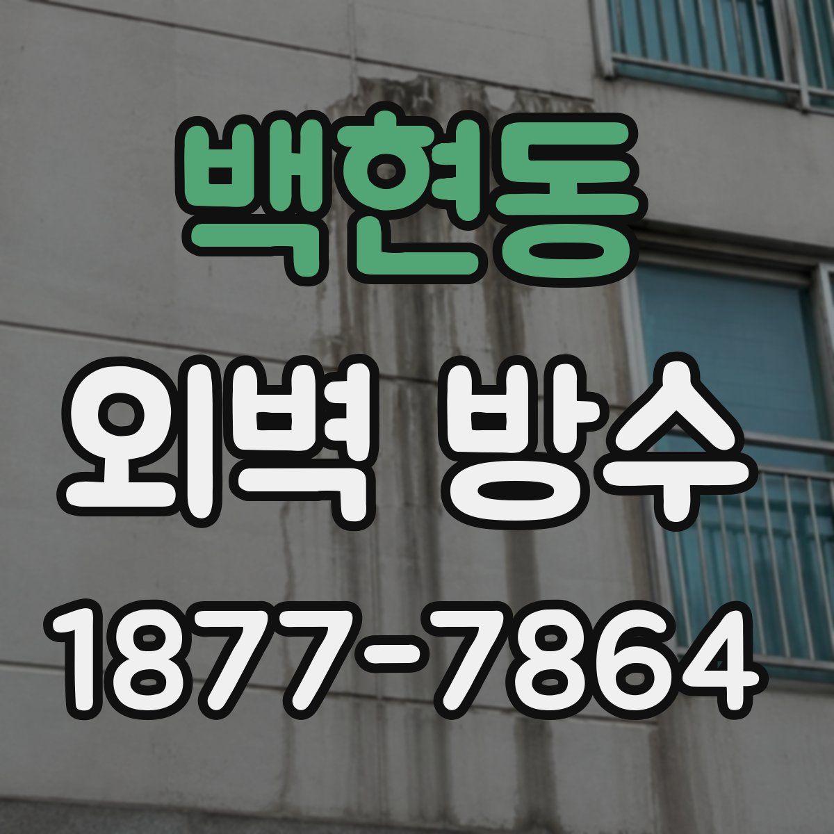 백현동 외벽 방수