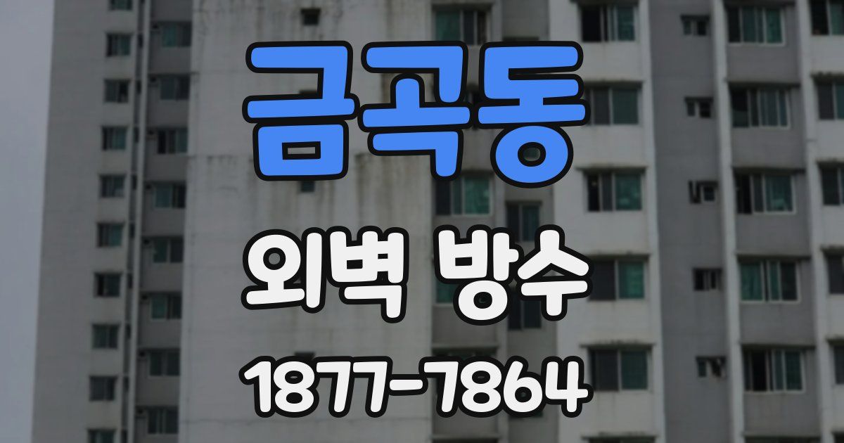 금곡동 외벽 방수