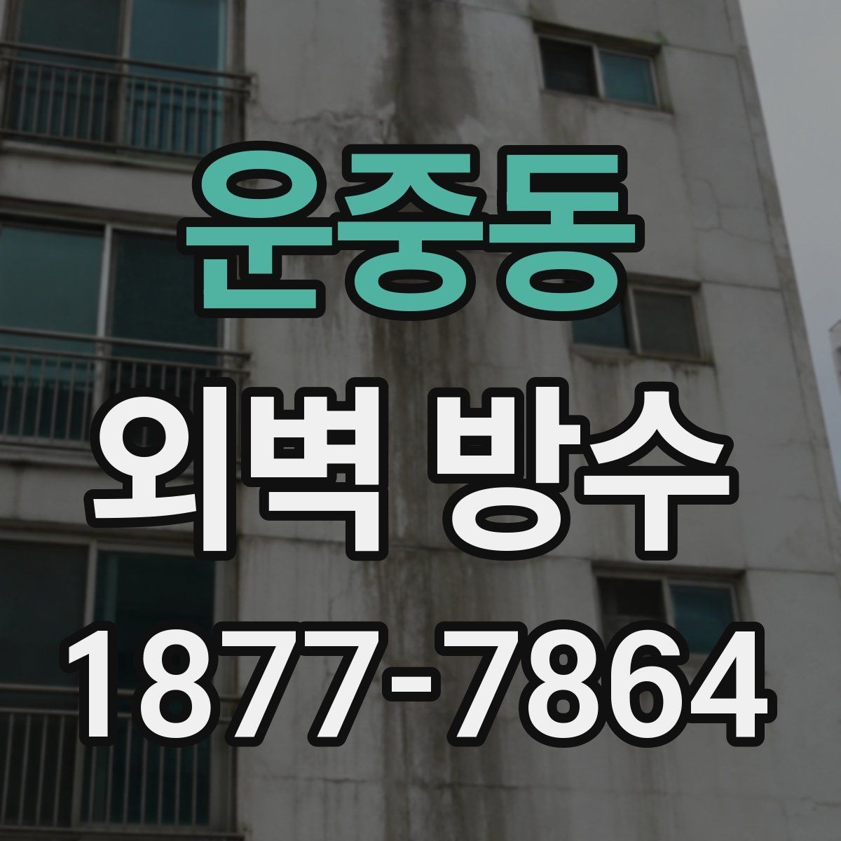 운중동 외벽 방수 견적 비교 시 체크할 항목