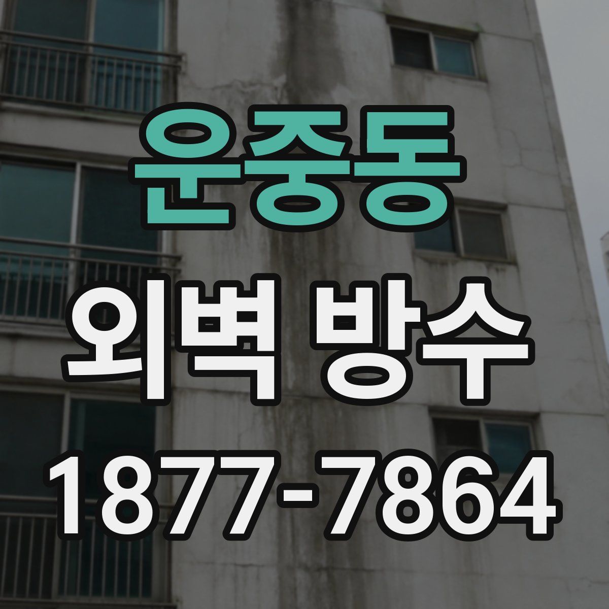 운중동 외벽 방수