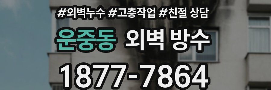 운중동 외벽 방수