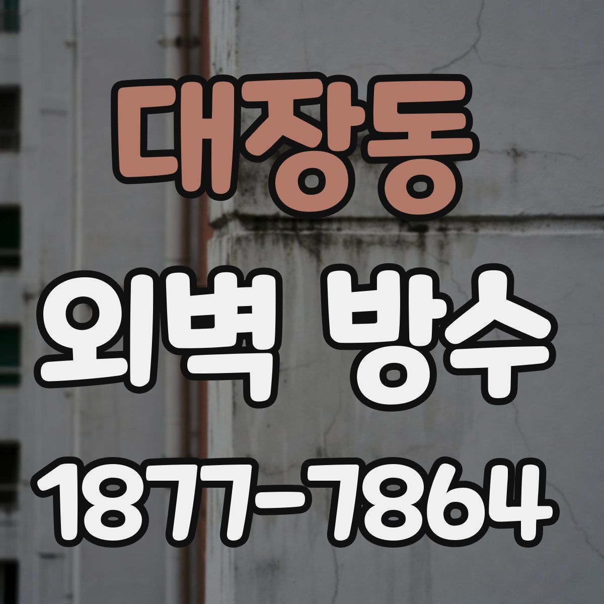 대장동 외벽 방수