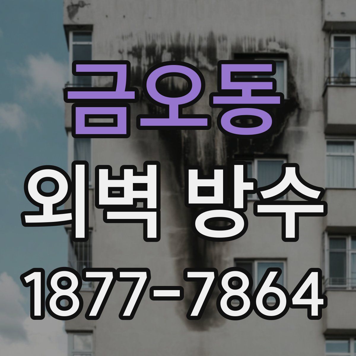 금오동 외벽 방수