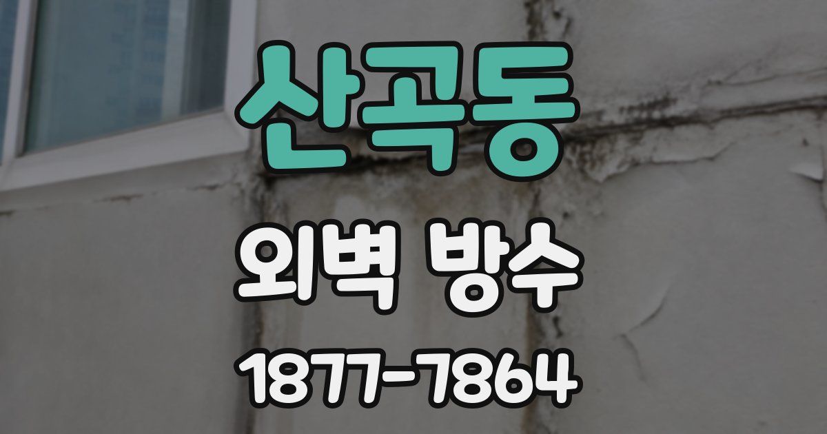 산곡동 외벽 방수