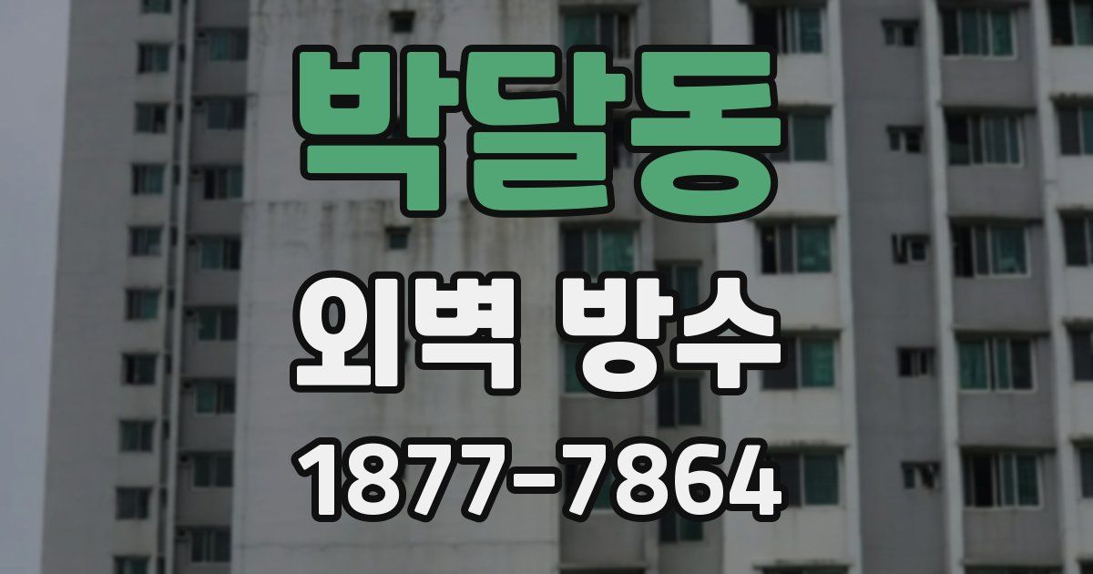 박달동 외벽 방수