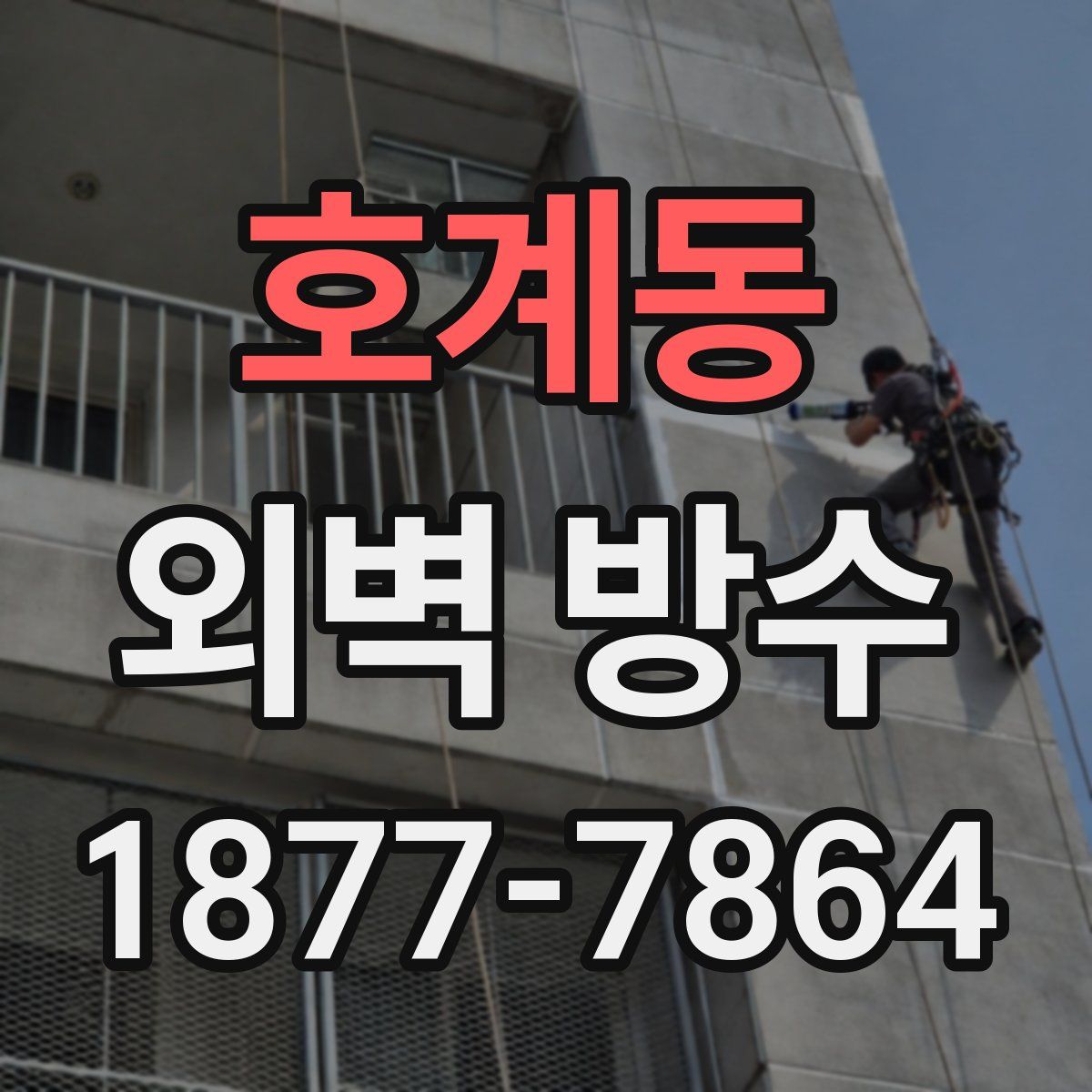 호계동 외벽 방수