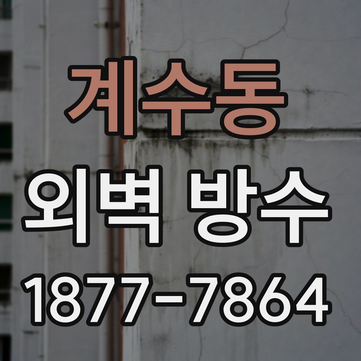 계수동 외벽 방수